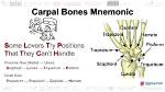Carpal Bones Mnemonic