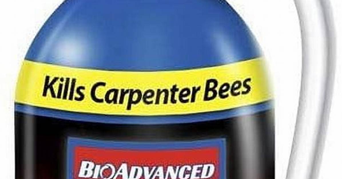 Carpenter Bee Killer