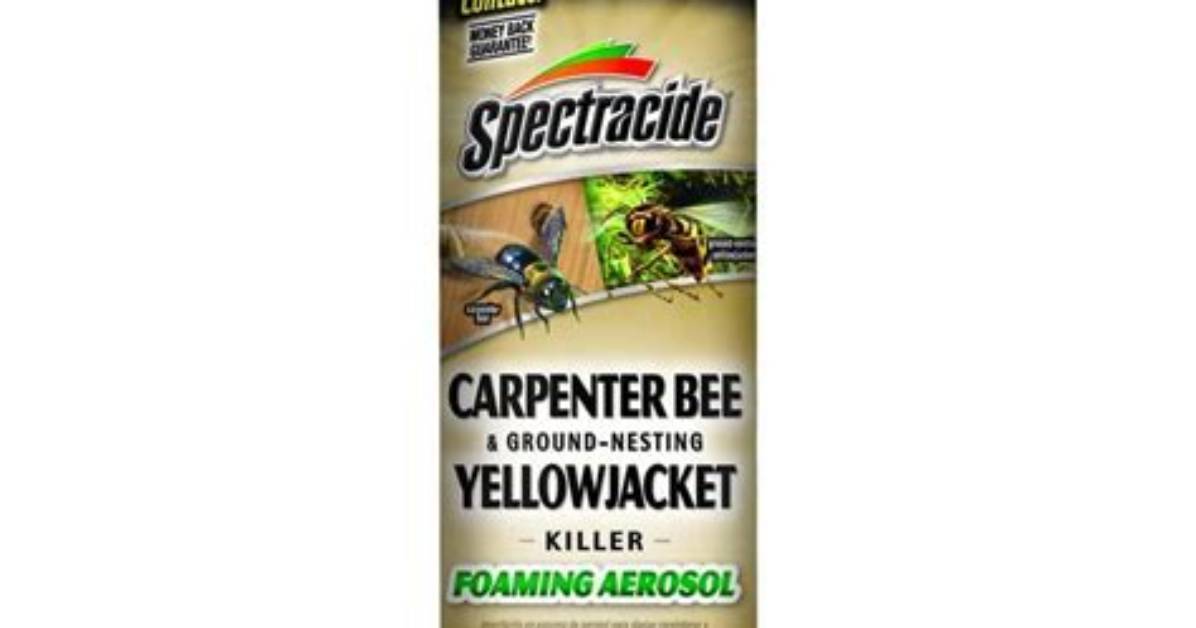 Carpenter Bee Spray
