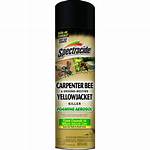 Carpenter Bee Spray