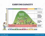 Carrying Capacity Example