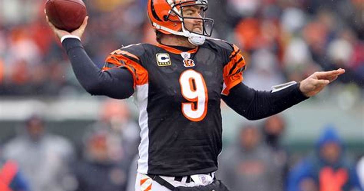Carson Palmer