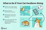 Cat Ate String