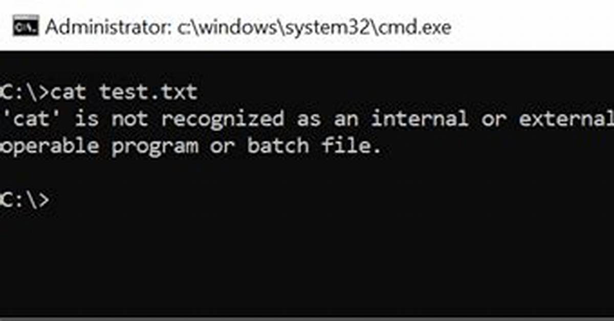 Cat Command Equivalent in Windows for Angular Build Process