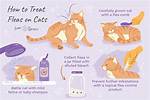 Cat Flea Bath