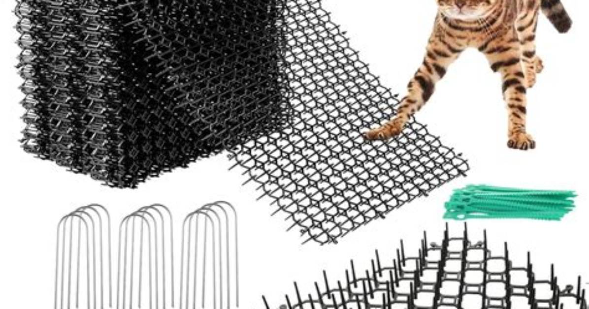 Cat Spikes
