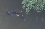 Catch as a Suspect