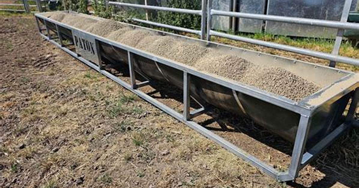 Cattle Feed Trough