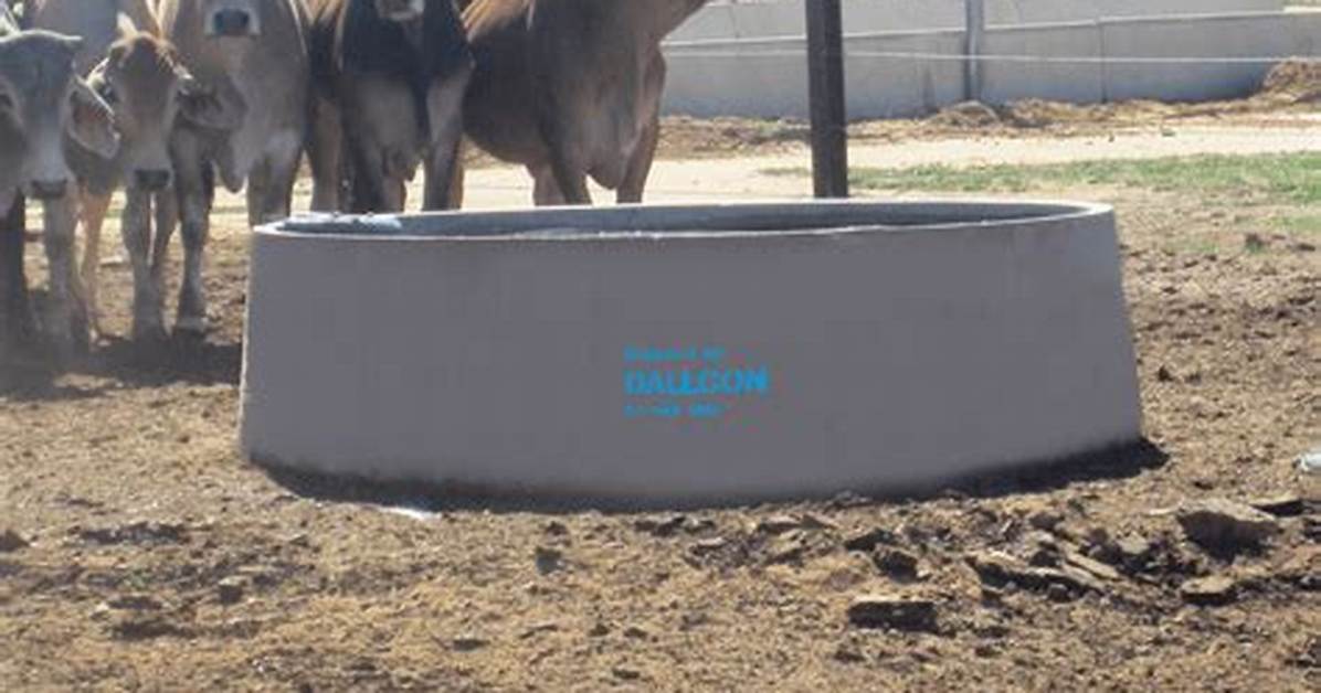 Cattle Trough
