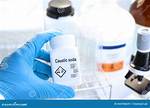 Caustic Chemicals