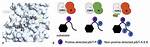 Cdk1 | Cell Cycle Structural Biology