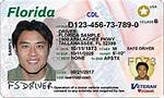 Cdl Permit Florida