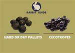 Cecotropes