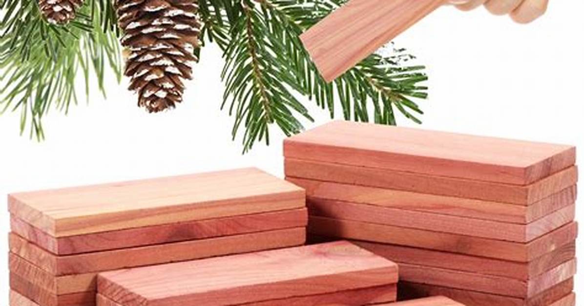 Cedar Block