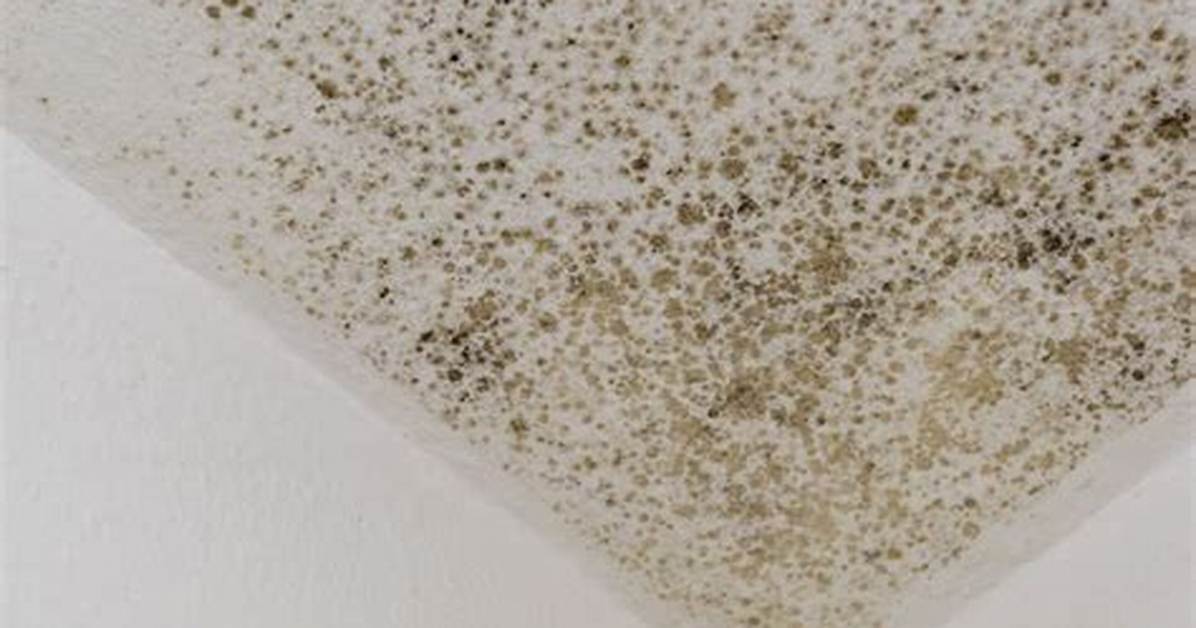 Ceiling Mold