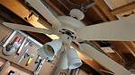 Ceiling Spinner