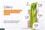 Celery Calories