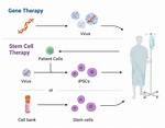 ___-Cell Therapy