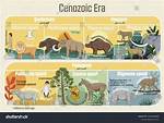 Cenozoic or Paleozoic for Example