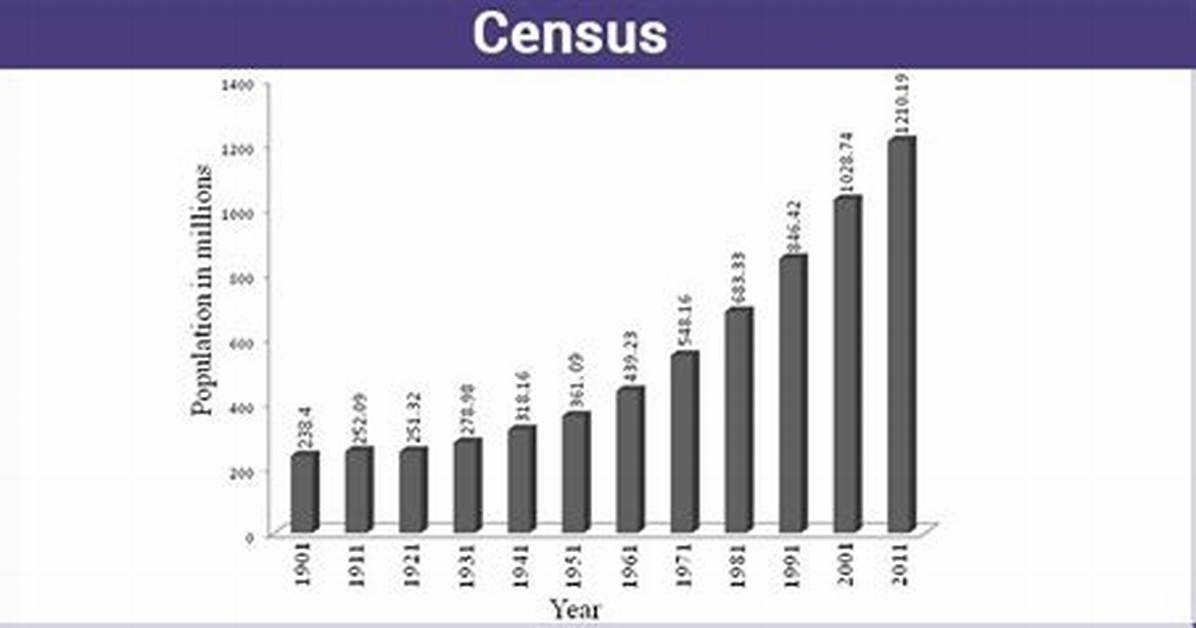 Census Statistics Definition