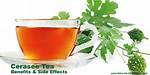Cerasee Tea Side Effects