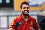 Cesc Fabregas