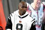 Chad Johnson