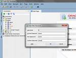 Changing Password with Oracle Sql Developer