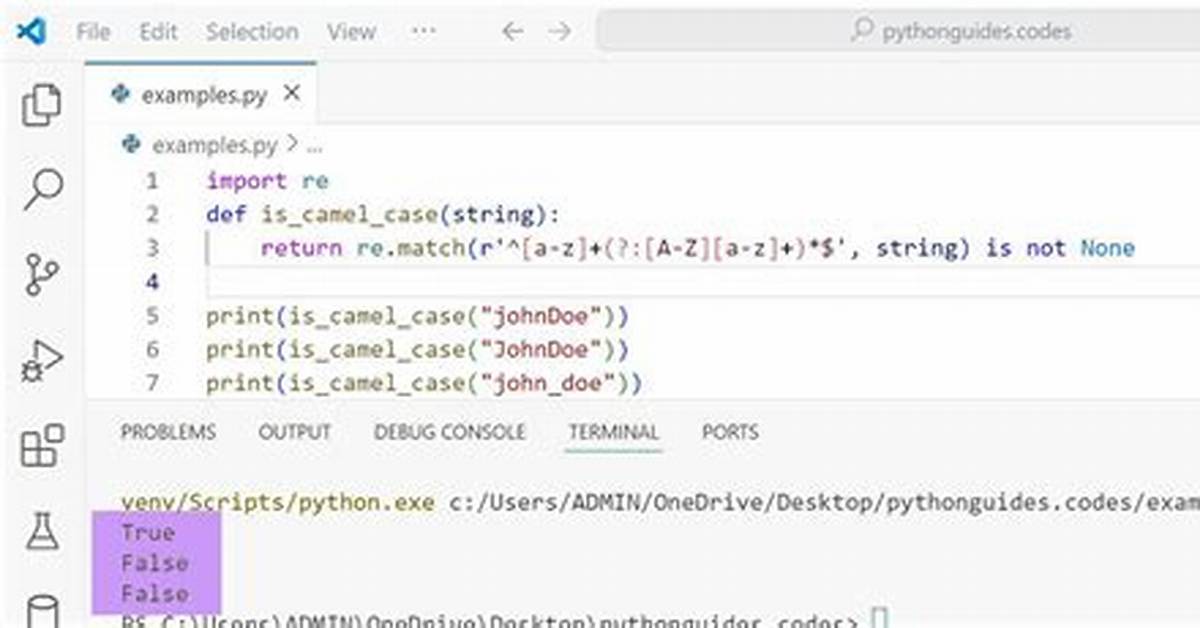Check for Camel Case in Python