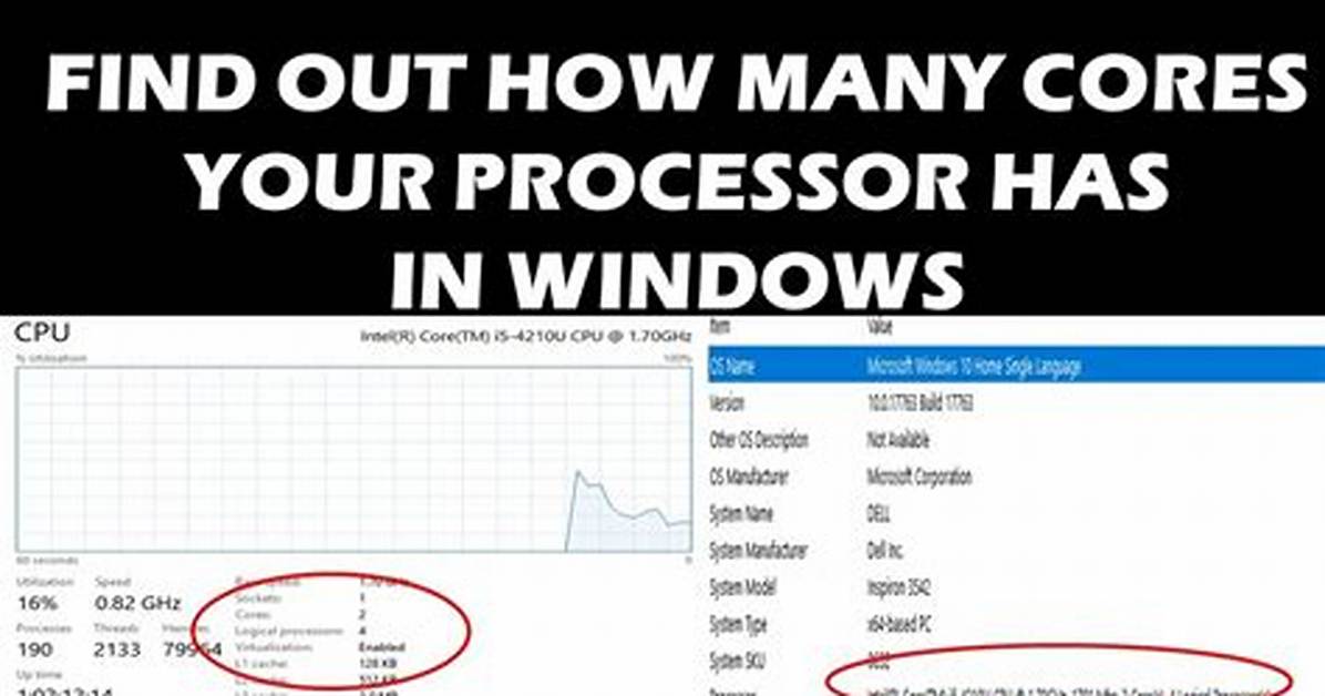 Check How Many Processor Cores My Python Code Is Running on?