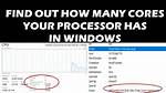 Check How Many Processor Cores My Python Code Is Running on?