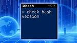 Check If Bash Version Is >= Given Version Number