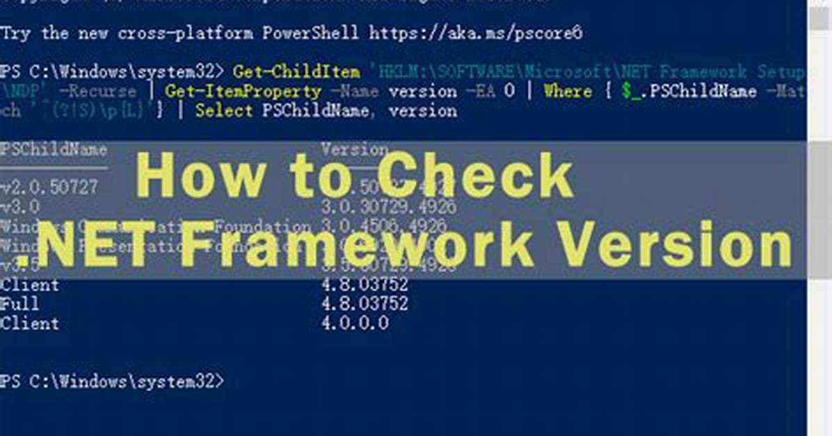 Check Net Framework Version