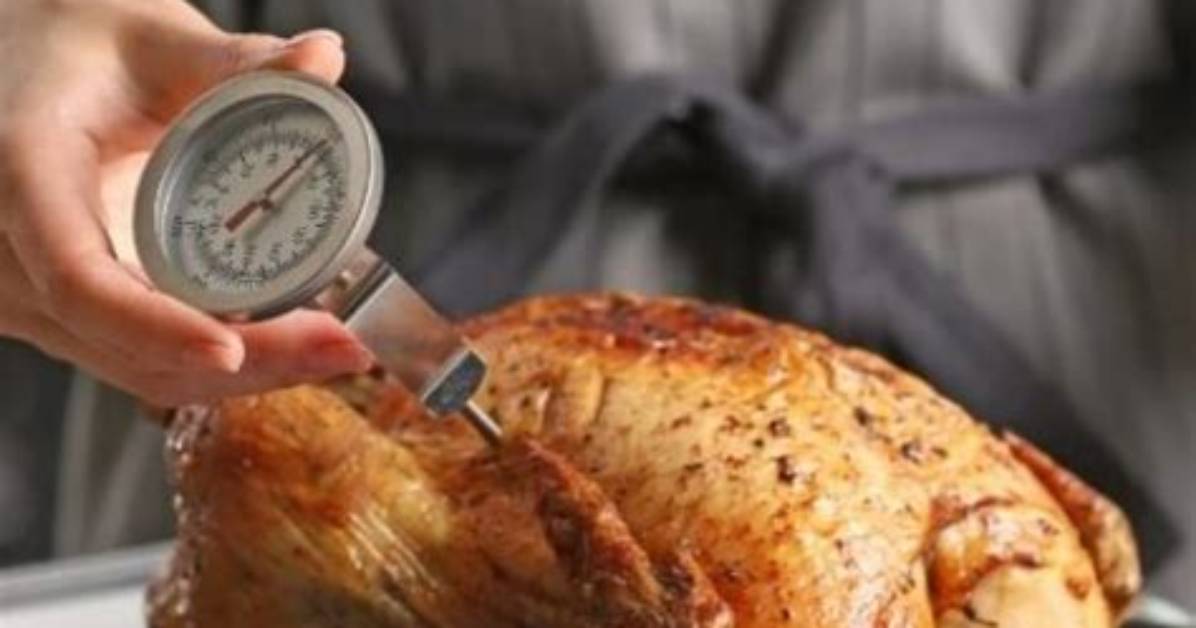 Check Turkey Temperature