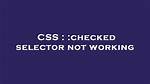 : Checked Css Not Working