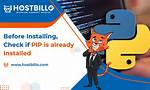 Checking Whether Pip Is Installed?