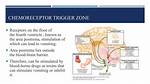 Chemoreceptor Trigger Zone