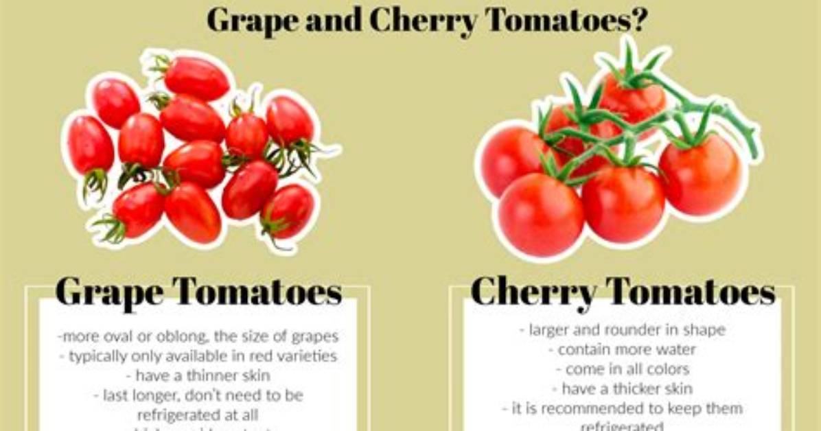 Cherry vs Grape Tomatoes