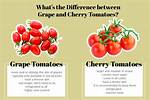 Cherry vs Grape Tomatoes