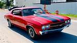 Chevelle Shields