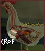 Chicken Crop
