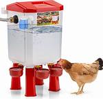 Chicken Waterer