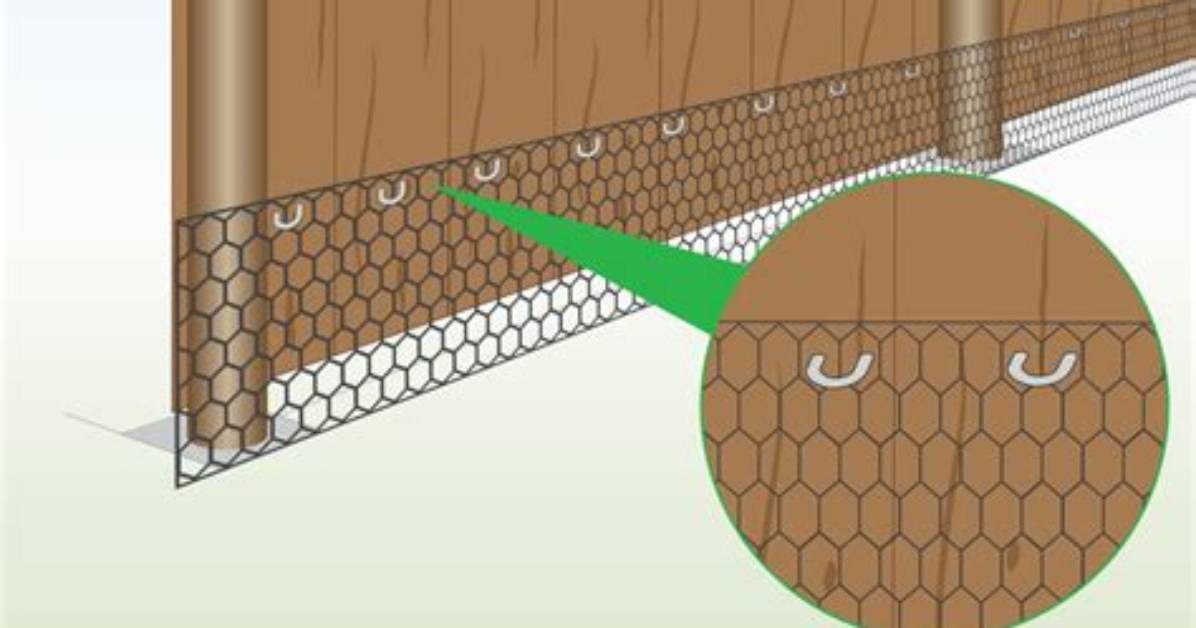 Chicken Wire for Example