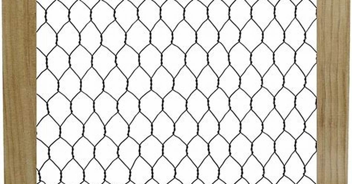 Chicken Wire Frame
