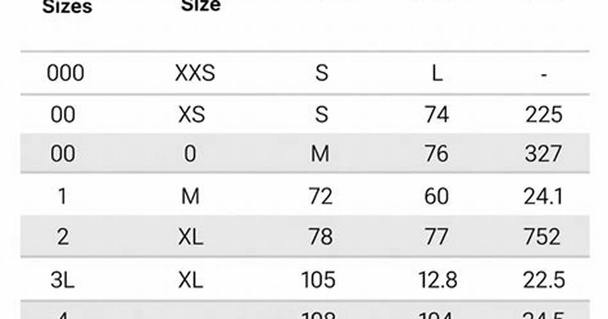 Chicos Size 2