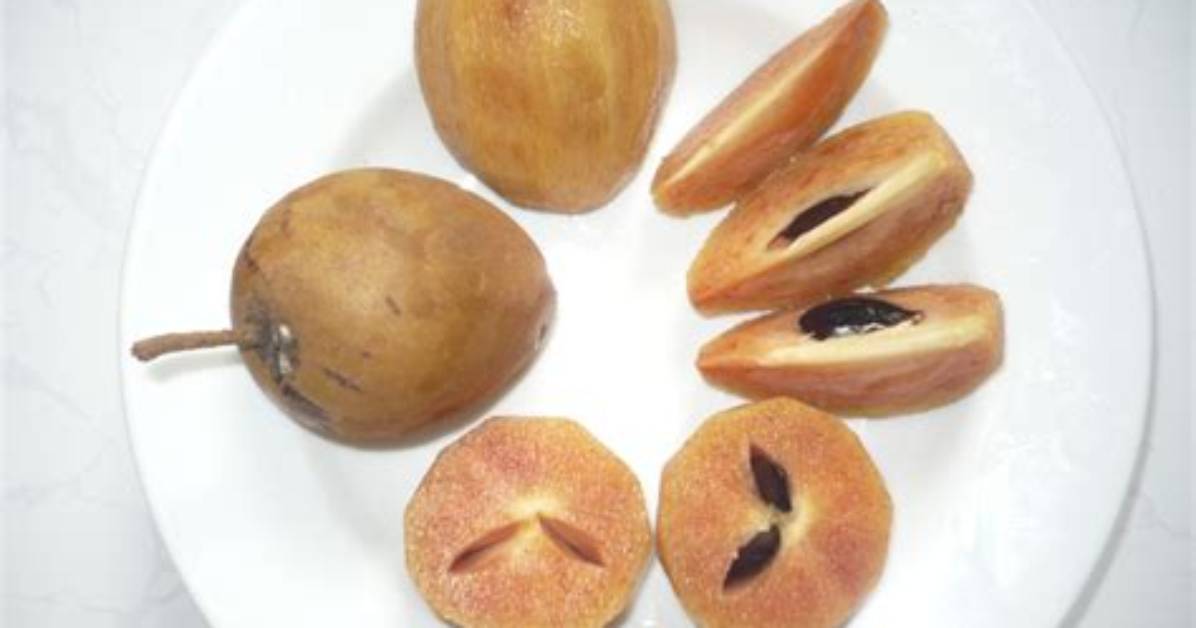 Chikoo Fruit