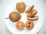 Chikoo Fruit