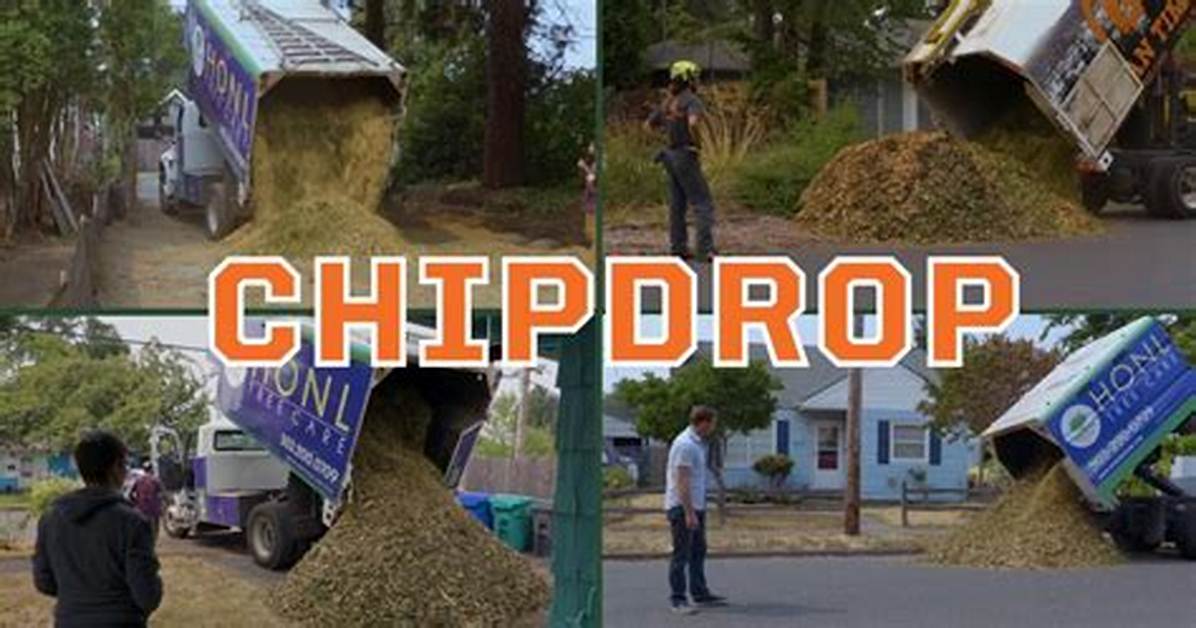 Chipdrop