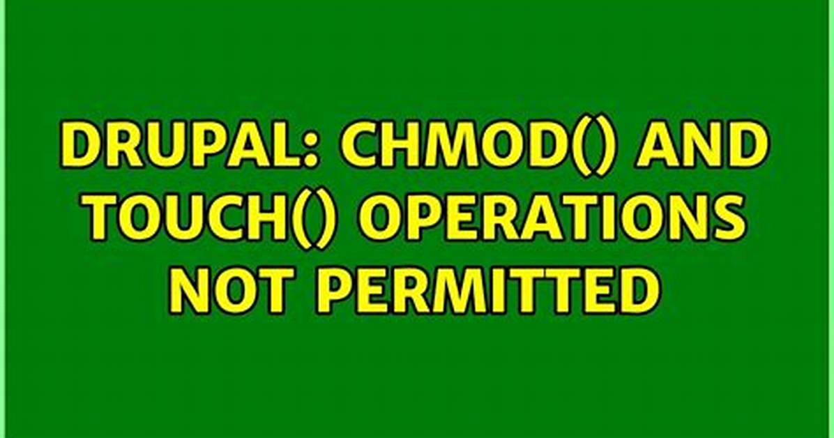 Chmod: Operation Not Permitted