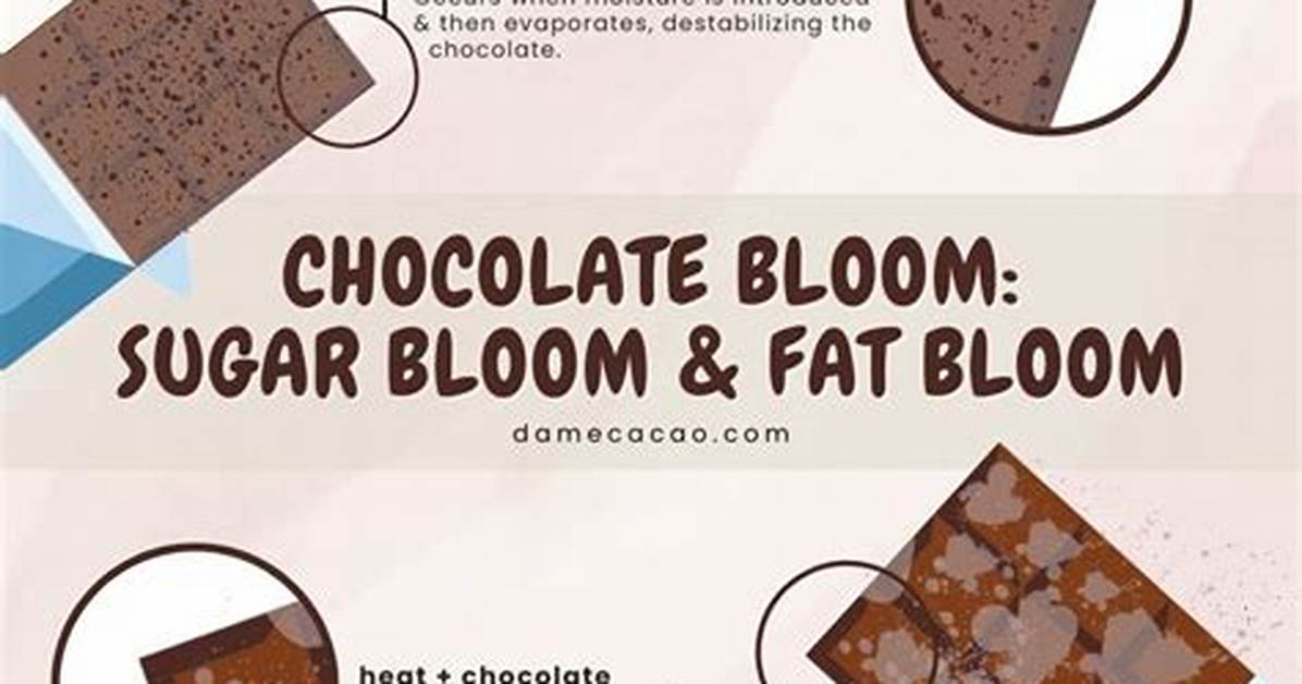 Chocolate Bloom